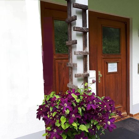 Ferienapartment 38 Sonnenwald Langfurth  Экстерьер фото